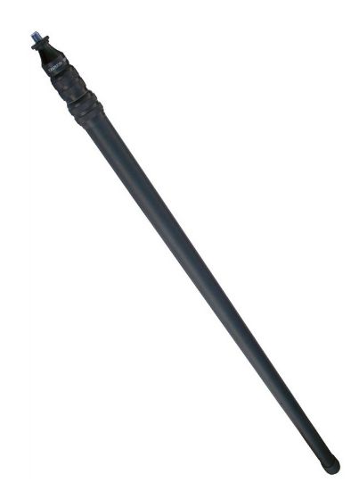 n80fjJZ7mF.jpg