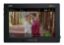 Imagen de Monitor BLACKMAGIC VIDEO ASSIST 7 12G HDR