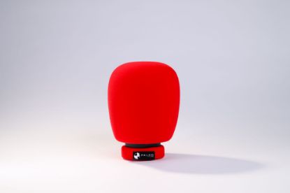 Imagen de Antiviento para micrófono de mano personalizable modelo TCC (varios colores)