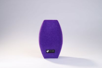 Imagen de Antiviento para micrófono de mano personalizable modelo TCW (varios colores)