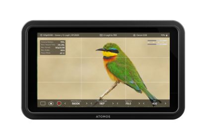 Imagen de Monitor ATOMOS Shinobi II  - HDR 5″ 1500 nits / HDMI 4K