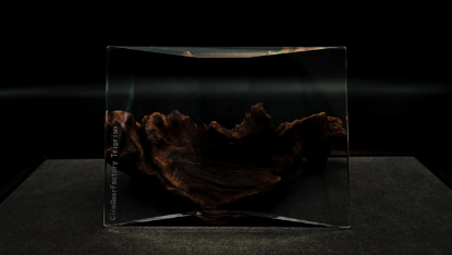 Imagen de Prisma creativo de 3 direcciones para efectos visuales CINEGEAR - triprism