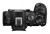 Imagen de CANON EOS R6 MARK III